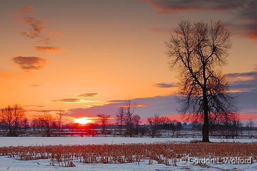 Sunrise Snowscape_14706.jpg - Photographed at Ottawa, Ontario - the capital of Canada.